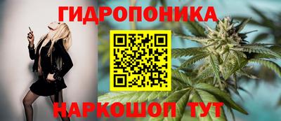 гашиш Кимры