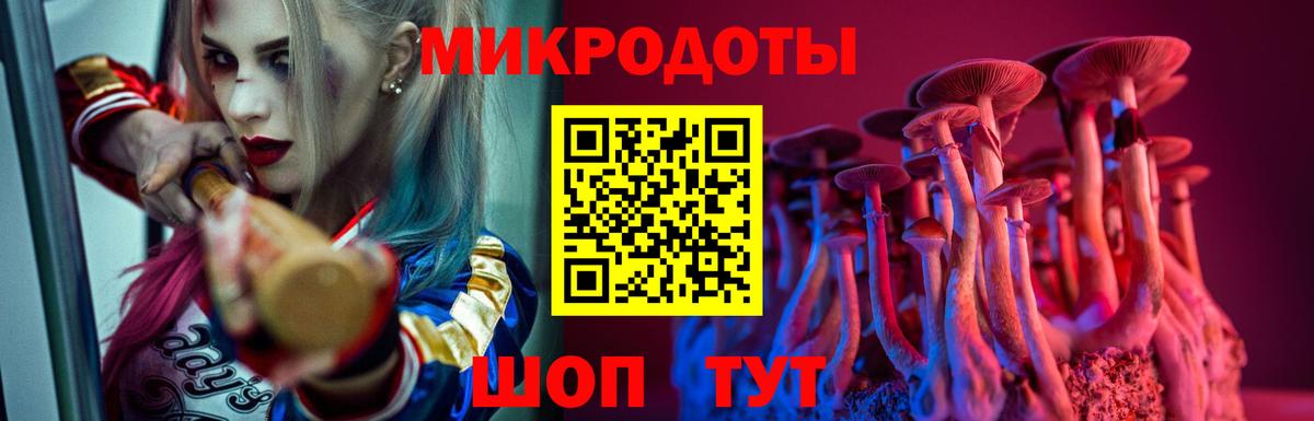 Галлюциногенные грибы мухоморы Коряжма
