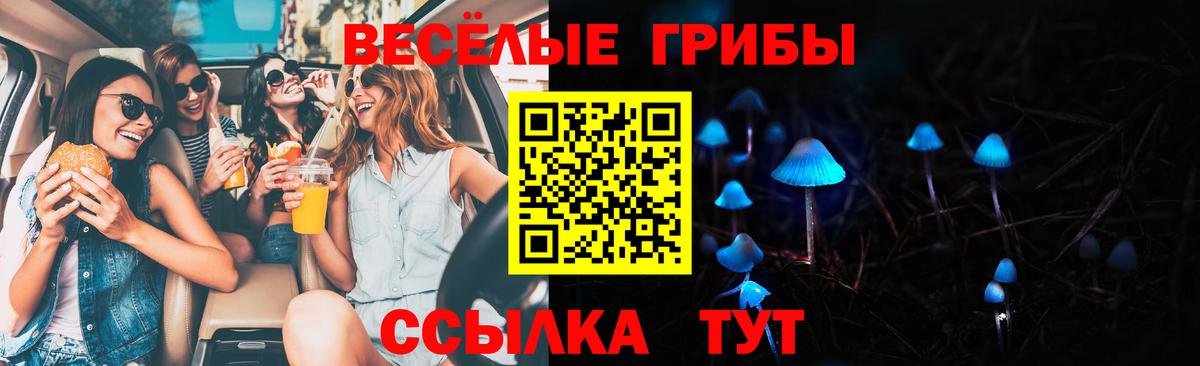 Коряжма  Галлюциногенные грибы MAGIC MUSHROOMS  Вход с VPN 